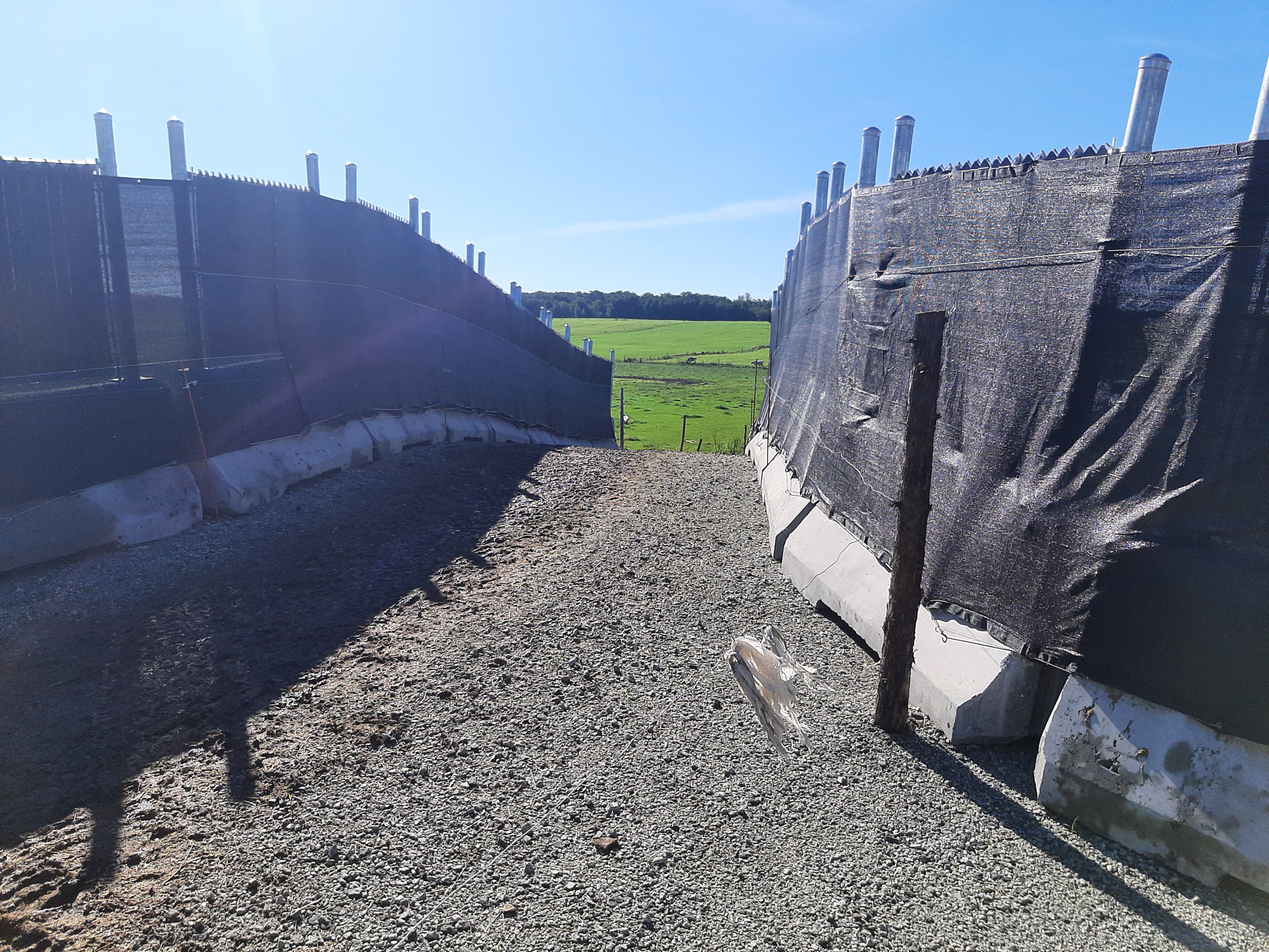 Traverse des vaches - Ferme Laverdière